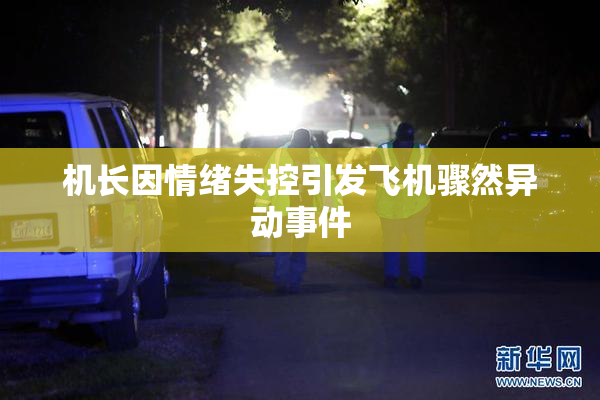 机长因情绪失控引发飞机骤然异动事件