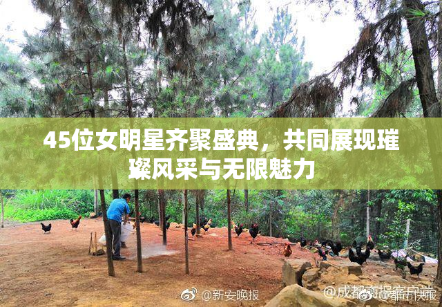45位女明星齐聚盛典，共同展现璀璨风采与无限魅力