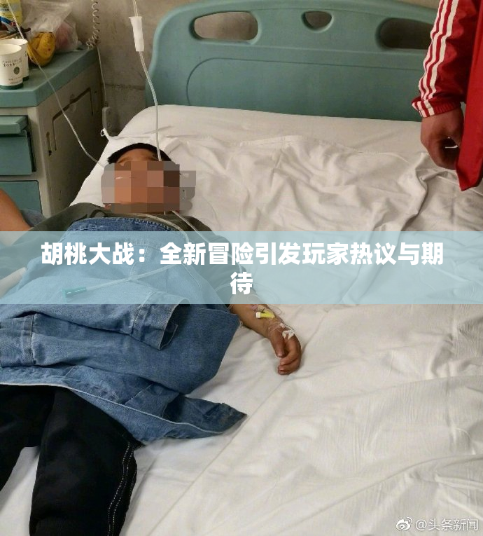 胡桃大战：全新冒险引发玩家热议与期待