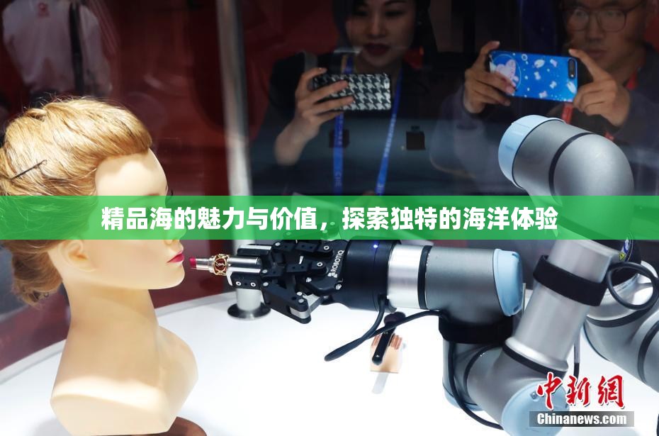 精品海的魅力与价值，探索独特的海洋体验