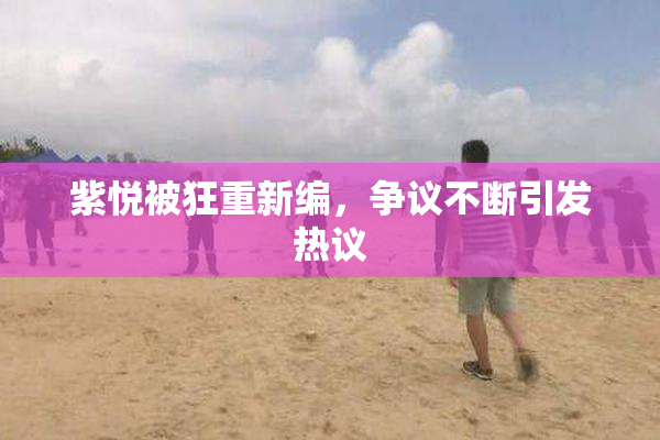 紫悦被狂重新编，争议不断引发热议