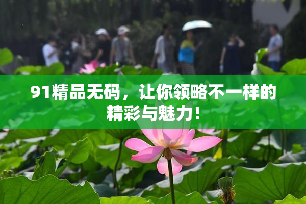91精品无码，让你领略不一样的精彩与魅力！
