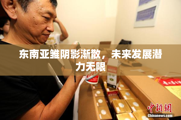 东南亚雏阴影渐散，未来发展潜力无限