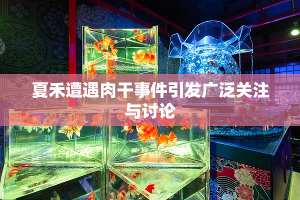 夏禾遭遇肉干事件引发广泛关注与讨论