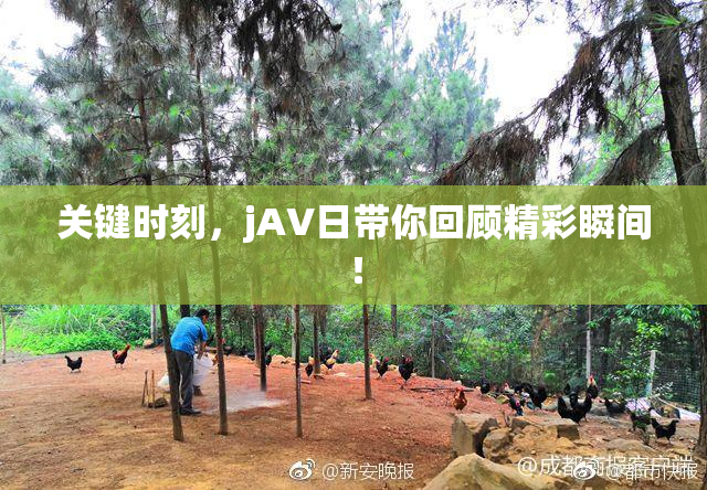 关键时刻，jA∨日带你回顾精彩瞬间！