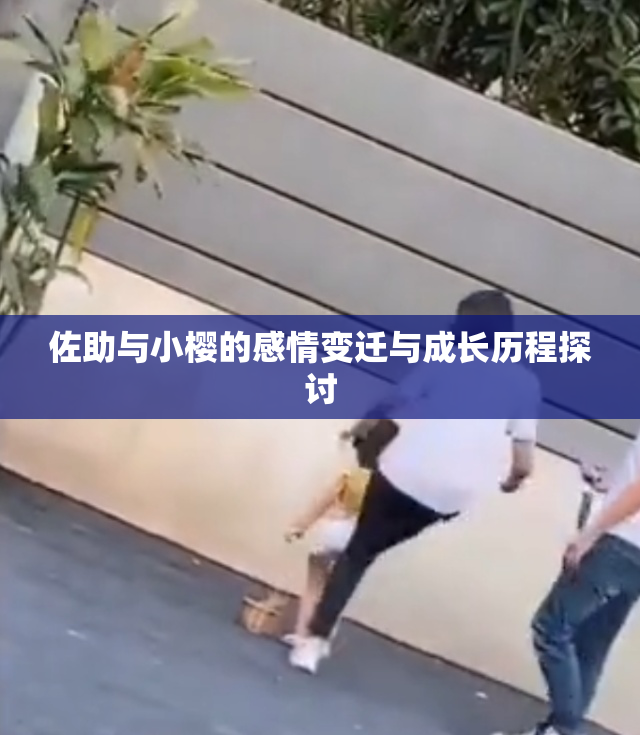 佐助与小樱的感情变迁与成长历程探讨