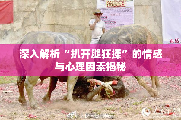 深入解析“扒开腿狂揉”的情感与心理因素揭秘