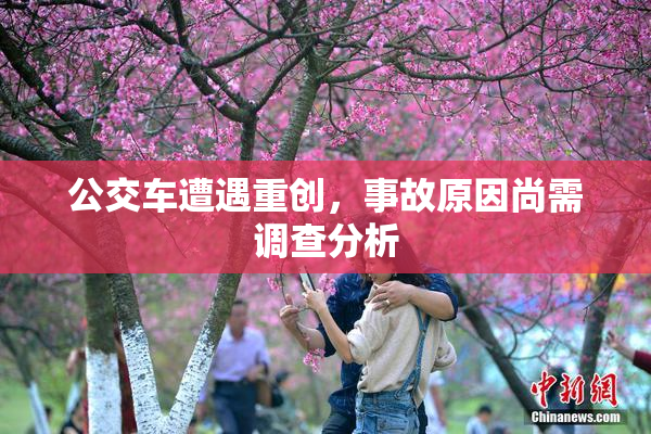公交车遭遇重创，事故原因尚需调查分析