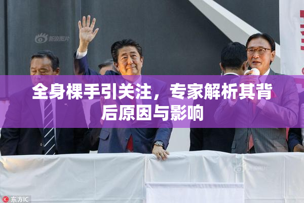 全身棵手引关注，专家解析其背后原因与影响