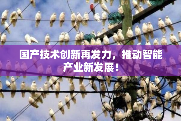 国产技术创新再发力，推动智能产业新发展！