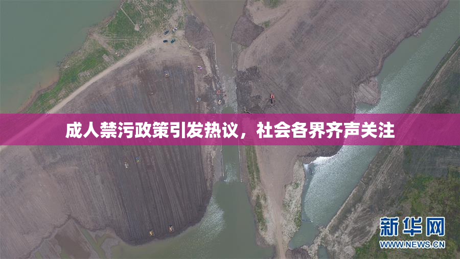 成人禁污政策引发热议，社会各界齐声关注
