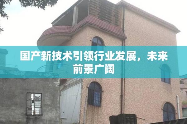 国产新技术引领行业发展，未来前景广阔