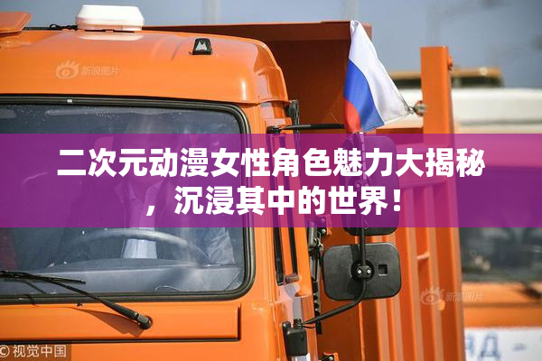 二次元动漫女性角色魅力大揭秘，沉浸其中的世界！