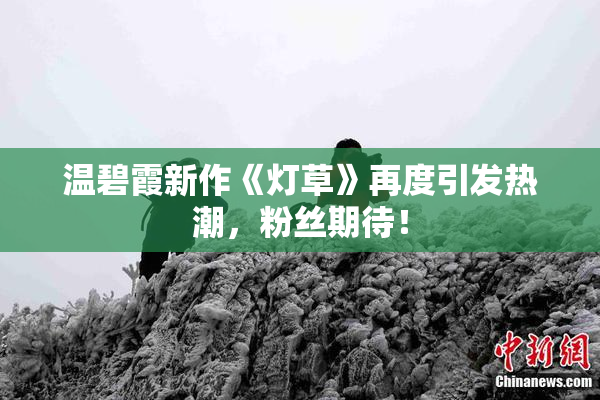 温碧霞新作《灯草》再度引发热潮，粉丝期待！