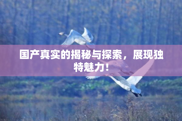 国产真实的揭秘与探索，展现独特魅力！