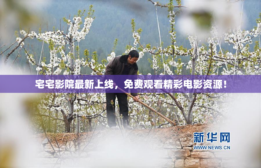宅宅影院最新上线，免费观看精彩电影资源！
