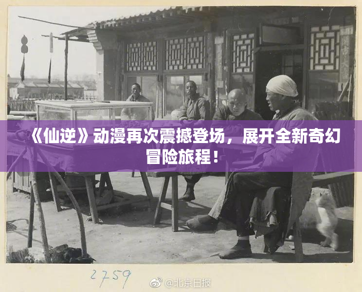 《仙逆》动漫再次震撼登场，展开全新奇幻冒险旅程！