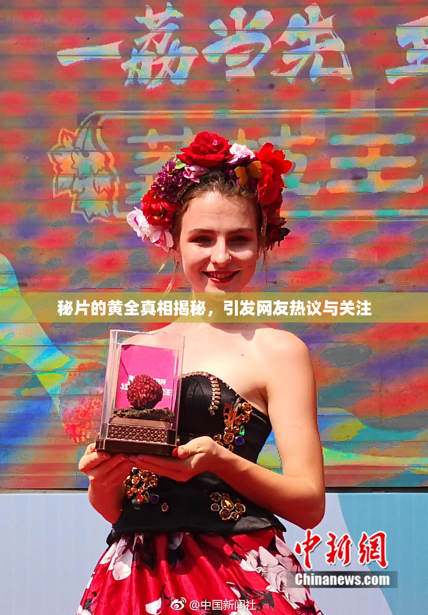 秘片的黄全真相揭秘，引发网友热议与关注