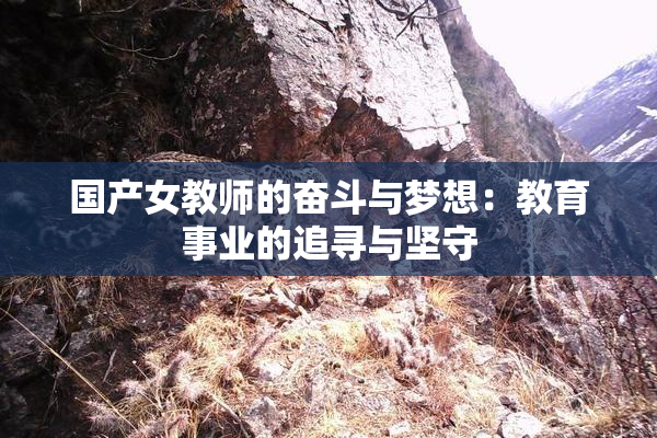 国产女教师的奋斗与梦想：教育事业的追寻与坚守