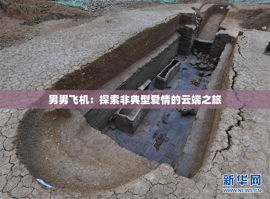 男男飞机：探索非典型爱情的云端之旅