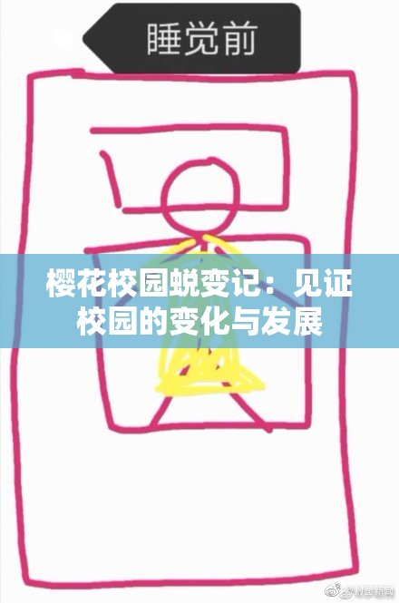 樱花校园蜕变记：见证校园的变化与发展