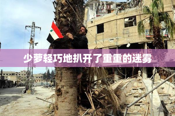 少萝轻巧地扒开了重重的迷雾
