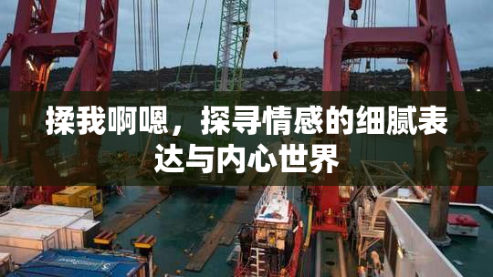 揉我啊嗯，探寻情感的细腻表达与内心世界