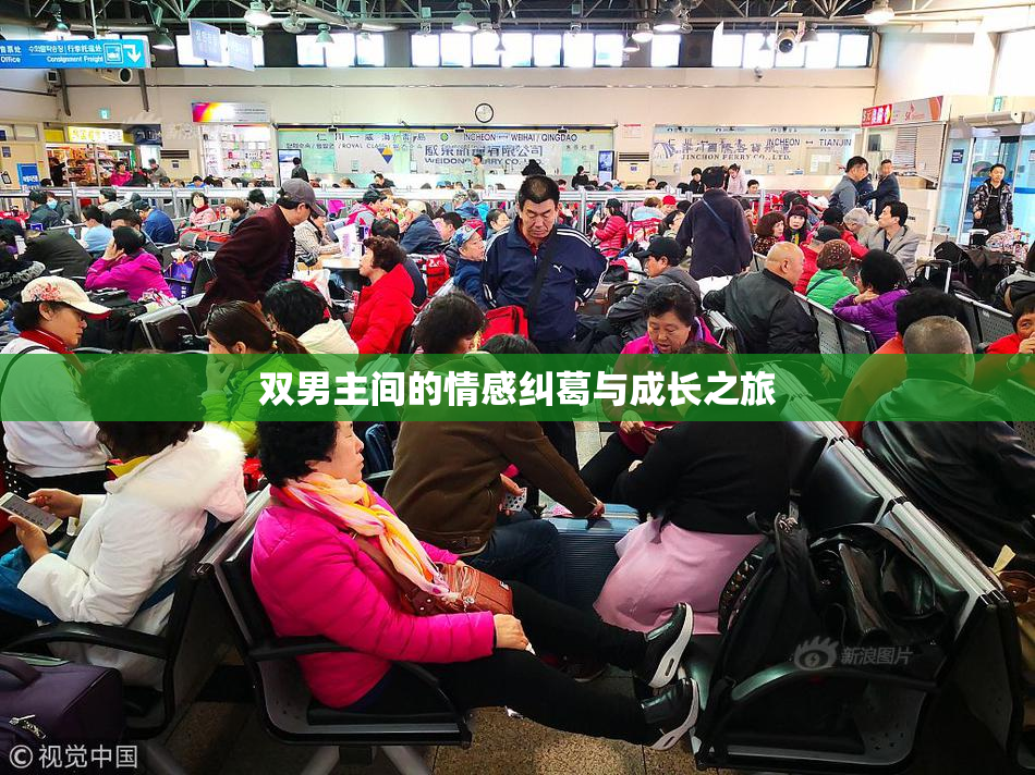 双男主间的情感纠葛与成长之旅
