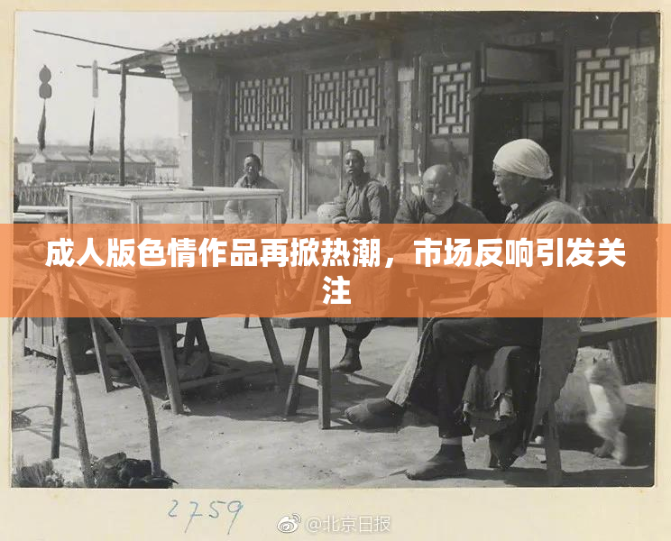 成人版色情作品再掀热潮，市场反响引发关注
