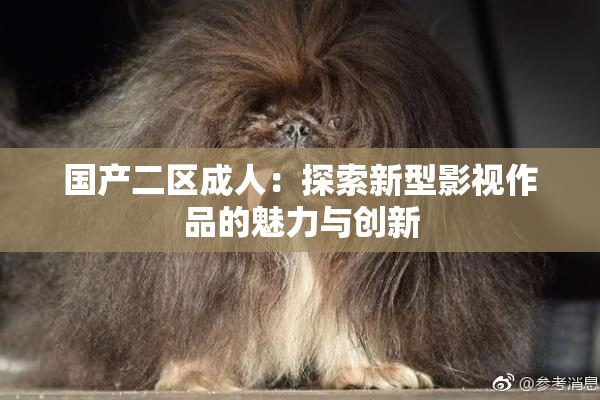 国产二区成人：探索新型影视作品的魅力与创新