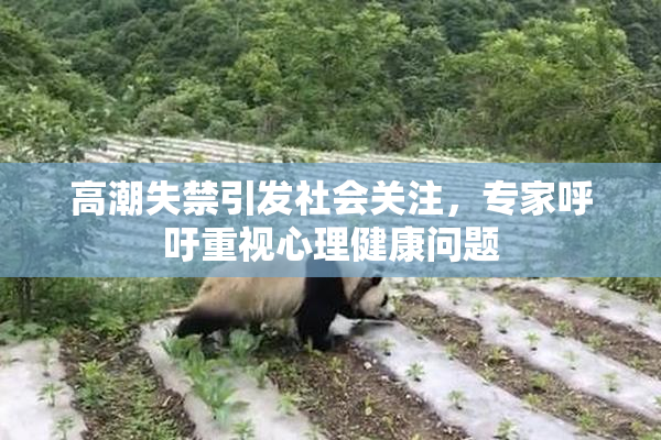 高潮失禁引发社会关注，专家呼吁重视心理健康问题