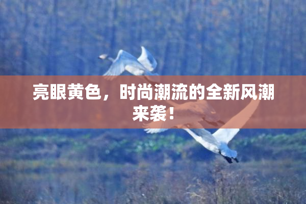 亮眼黄色，时尚潮流的全新风潮来袭！