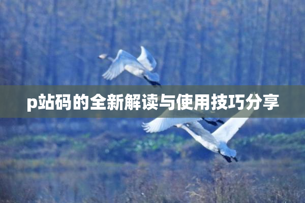p站码的全新解读与使用技巧分享