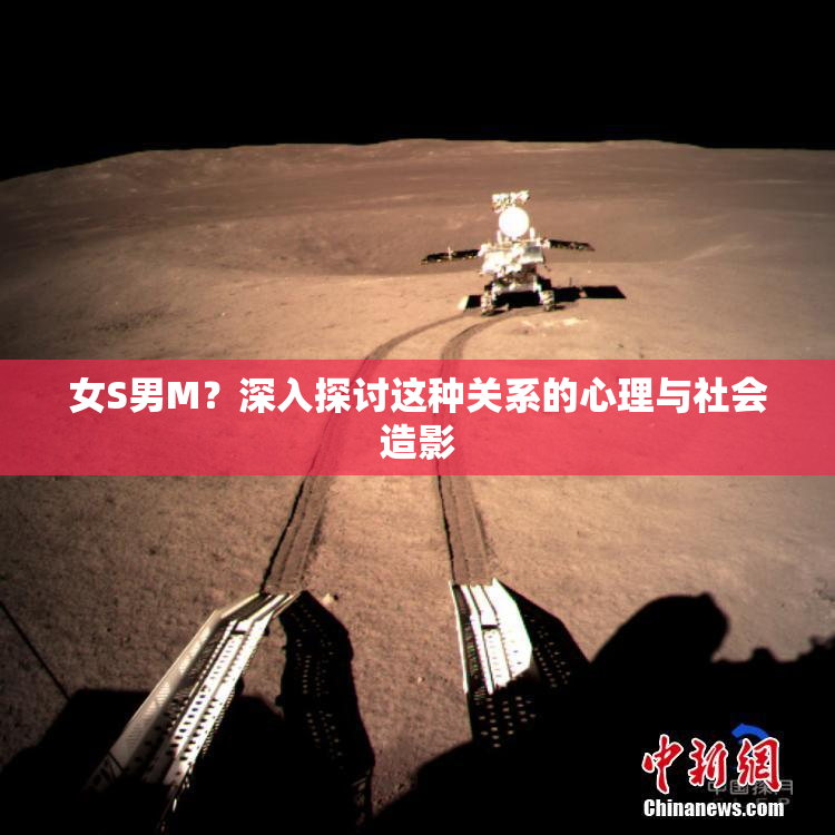 女S男M？深入探讨这种关系的心理与社会造影