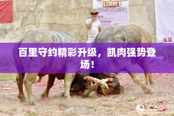 百里守约精彩升级，凯肉强势登场！