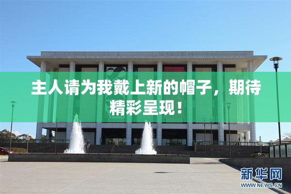 主人请为我戴上新的帽子，期待精彩呈现！