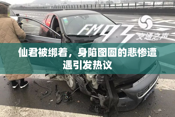 仙君被绑着，身陷囹圄的悲惨遭遇引发热议