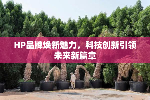 HP品牌焕新魅力，科技创新引领未来新篇章