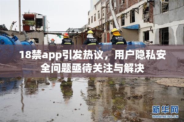 18禁app引发热议，用户隐私安全问题亟待关注与解决