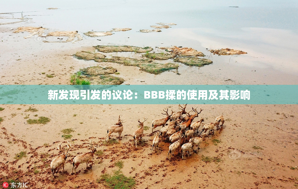 新发现引发的议论：BBB揉的使用及其影响