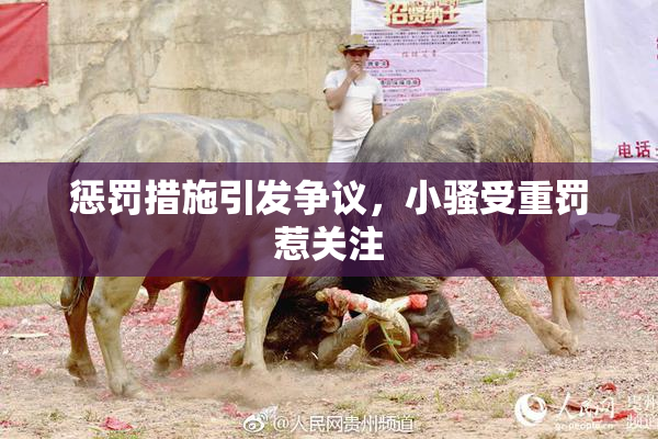 惩罚措施引发争议，小骚受重罚惹关注