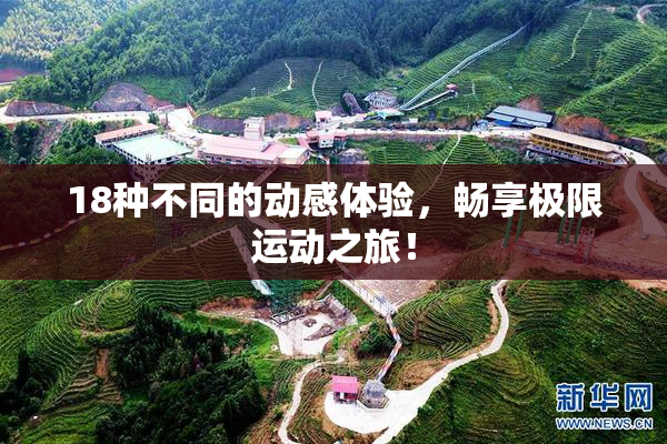 18种不同的动感体验，畅享极限运动之旅！