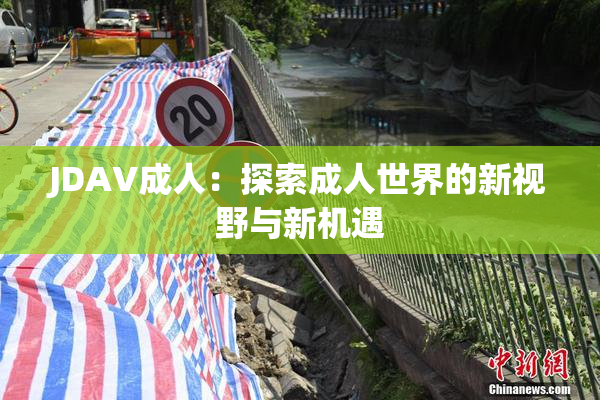 JDAV成人：探索成人世界的新视野与新机遇