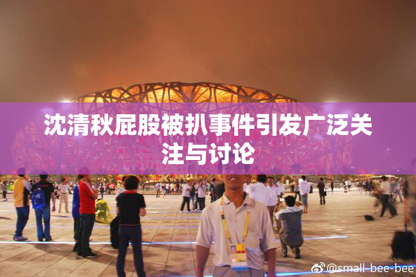 沈清秋屁股被扒事件引发广泛关注与讨论