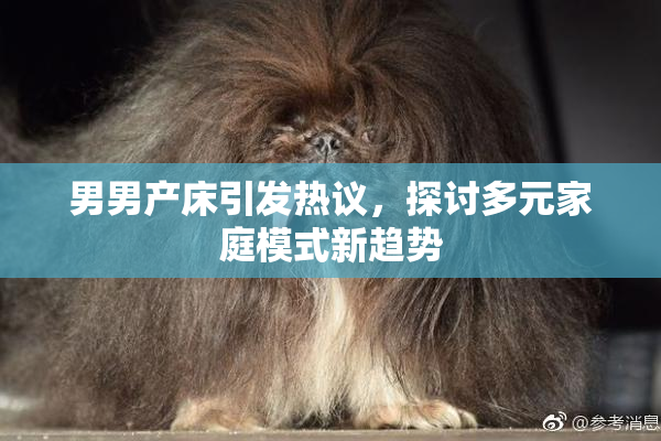 男男产床引发热议，探讨多元家庭模式新趋势