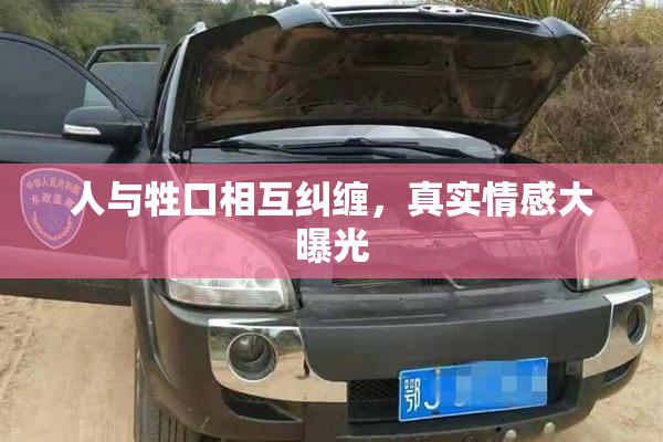 人与牲口相互纠缠，真实情感大曝光