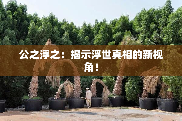 公之浮之：揭示浮世真相的新视角！