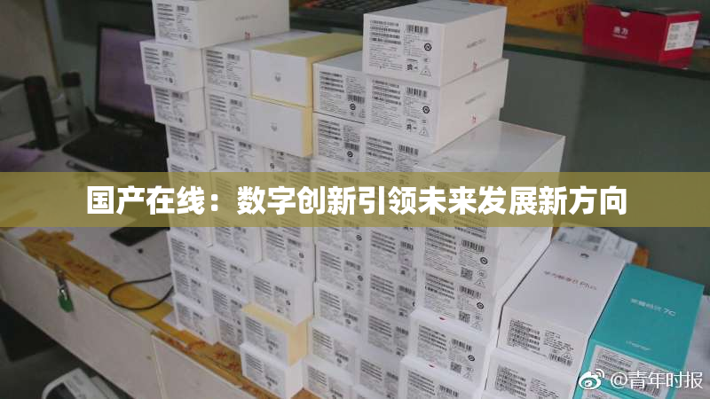 国产在线：数字创新引领未来发展新方向