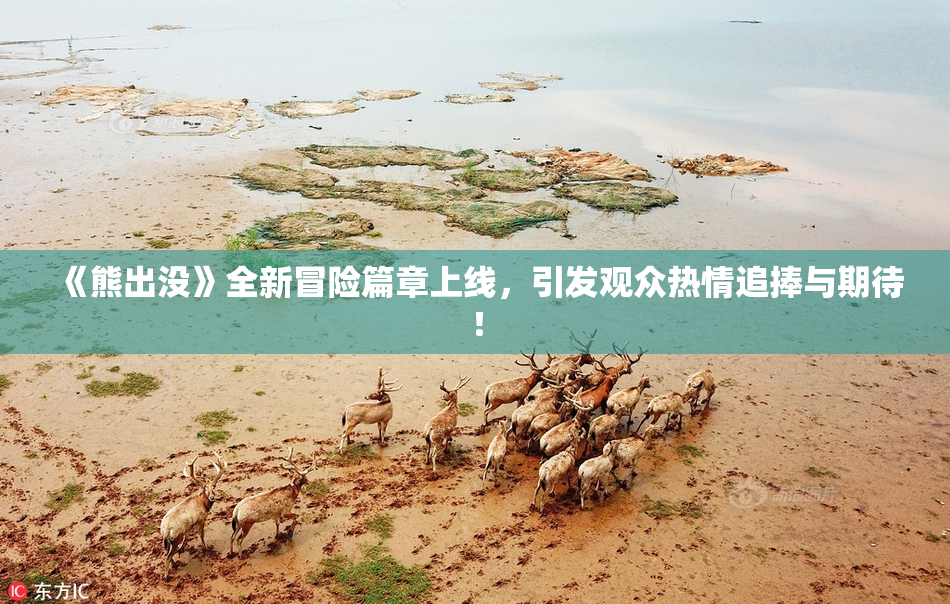 《熊出没》全新冒险篇章上线，引发观众热情追捧与期待！
