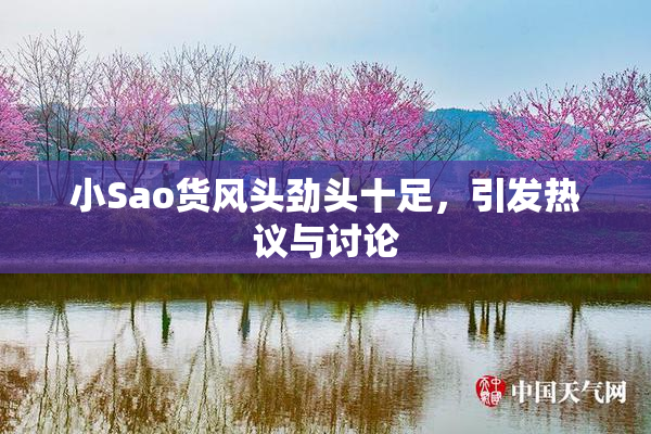 小Sao货风头劲头十足，引发热议与讨论